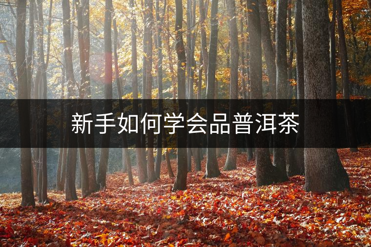 新手如何學(xué)會(huì)品普洱茶 新手如何學(xué)會(huì)品普洱茶