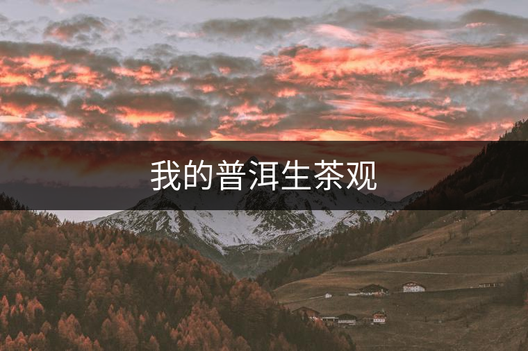 我的普洱生茶觀 我的普洱生茶觀