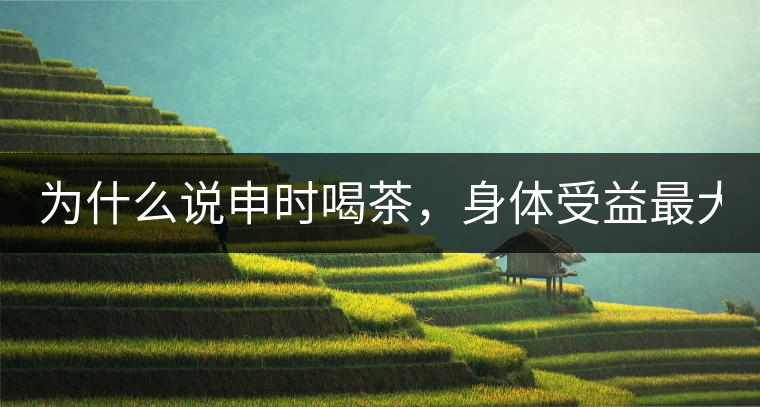 為什么說申時(shí)喝茶，身體受益最大？