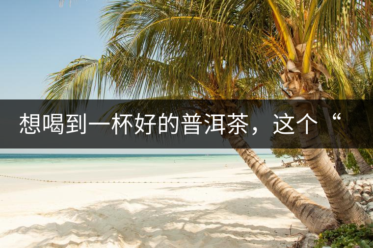 想喝到一杯好的普洱茶，這個(gè)“醒茶”步驟很關(guān)鍵