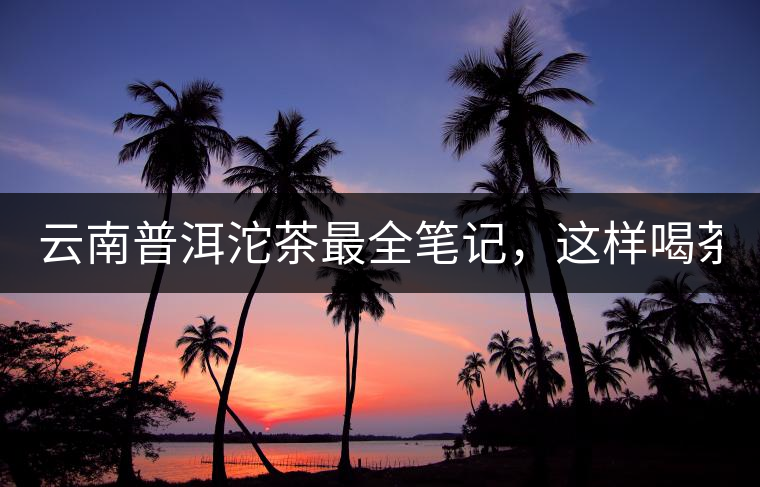 云南普洱沱茶最全筆記，這樣喝茶才更健康！