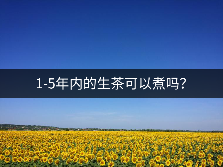 1-5年內(nèi)的生茶可以煮嗎？