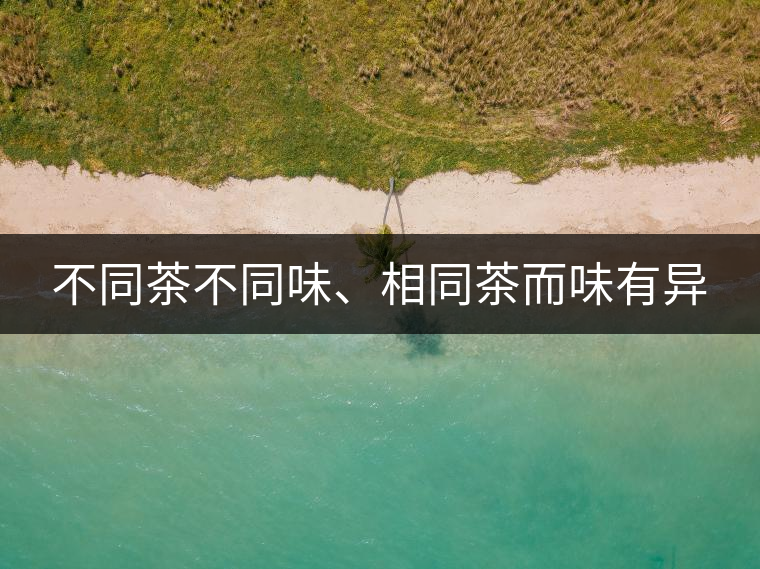 不同茶不同味、相同茶而味有異