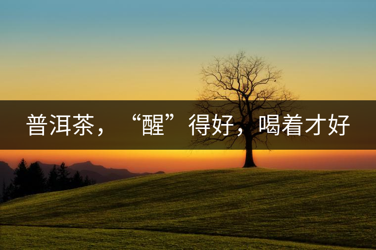 普洱茶，“醒”得好，喝著才好