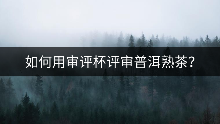 如何用審評(píng)杯評(píng)審普洱熟茶？