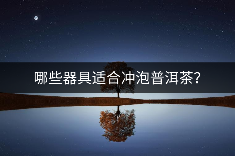 哪些器具適合沖泡普洱茶？