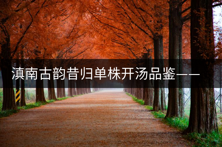 滇南古韻昔歸單株開湯品鑒——獨樹一味