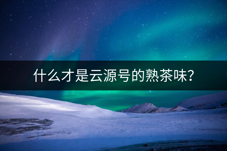 什么才是云源號的熟茶味？