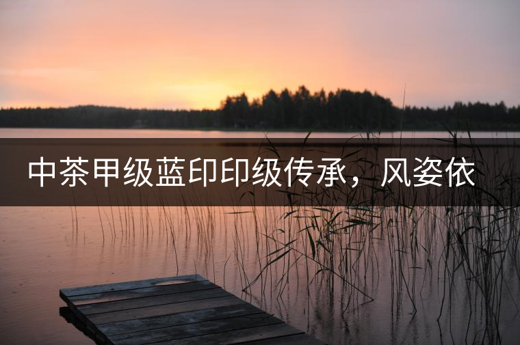 中茶甲級(jí)藍(lán)印印級(jí)傳承，風(fēng)姿依舊