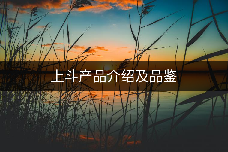 上斗產(chǎn)品介紹及品鑒 上斗產(chǎn)品介紹及品鑒