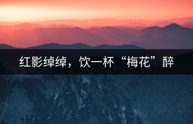 紅影綽綽，飲一杯“梅花”醉