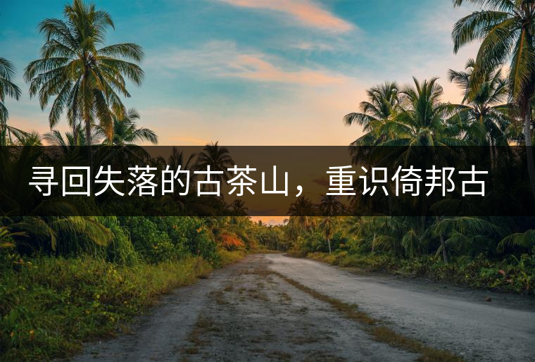 尋回失落的古茶山，重識倚邦古韻