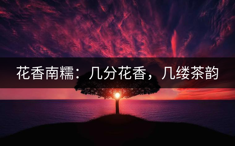 花香南糯：幾分花香，幾縷茶韻
