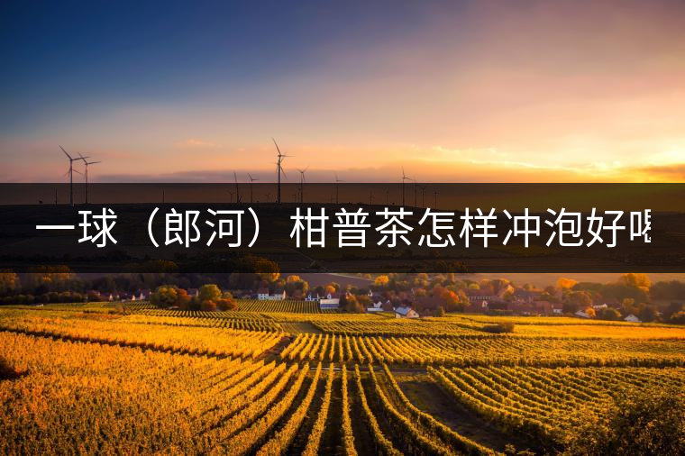 一球（郎河）柑普茶怎樣沖泡好喝？