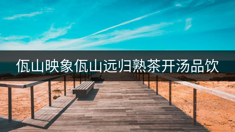 佤山映象佤山遠歸熟茶開湯品飲