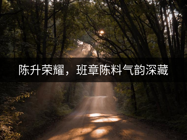 陳升榮耀，班章陳料氣韻深藏