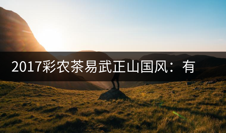 2017彩農(nóng)茶易武正山國風：有茶韻，亦有國風