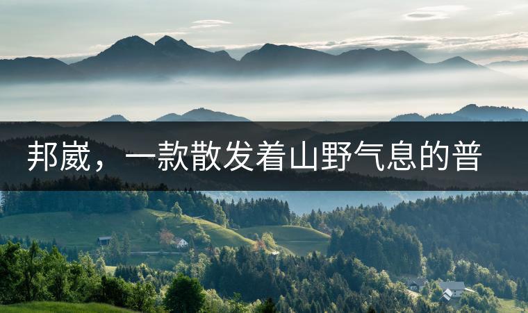 邦崴，一款散發(fā)著山野氣息的普洱