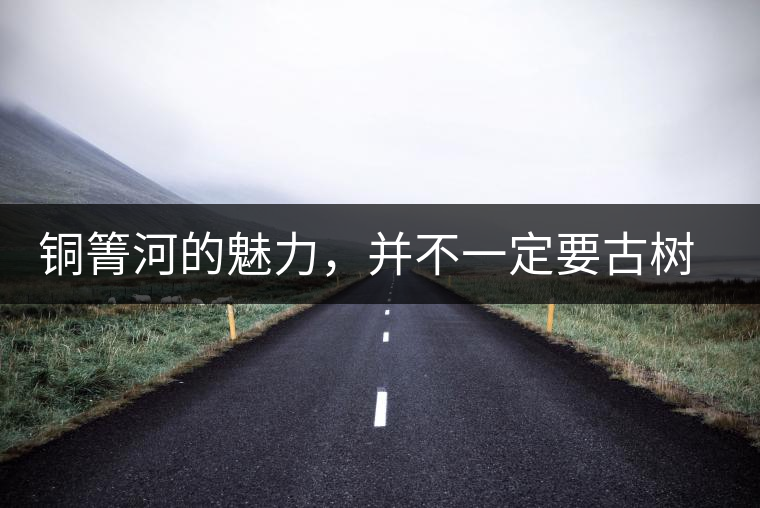 銅箐河的魅力，并不一定要古樹(shù)來(lái)體現(xiàn)