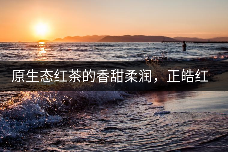 原生態(tài)紅茶的香甜柔潤，正皓紅的魅力無可抵擋！