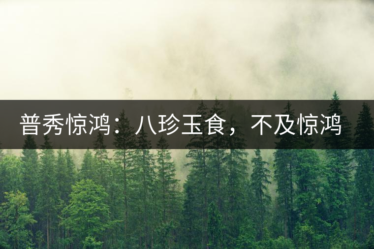 普秀驚鴻：八珍玉食，不及驚鴻一湯