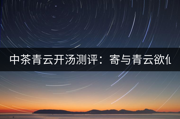中茶青云開(kāi)湯測(cè)評(píng):寄與青云欲仙客 一甌相映兩無(wú)塵 中茶青云開(kāi)湯測(cè)評(píng):寄與青云欲仙客 一甌相映兩無(wú)塵