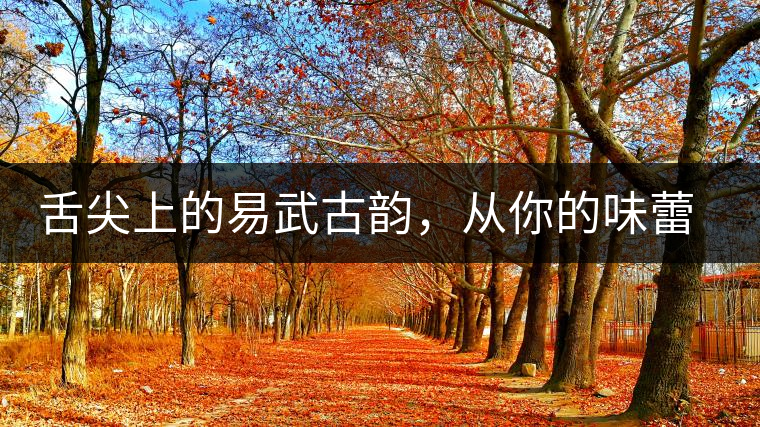 舌尖上的易武古韻，從你的味蕾路過