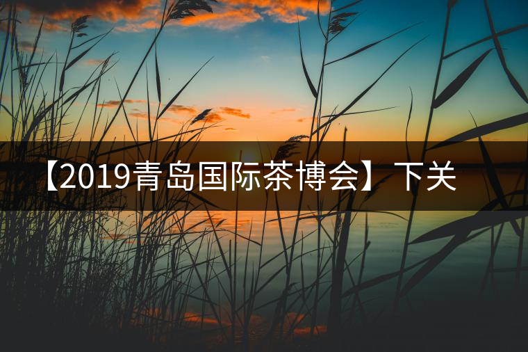 【2019青島國際茶博會】下關(guān)沱茶攜新品C位亮相！