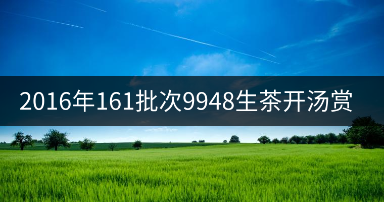 2016年161批次9948生茶開湯賞析 2016年161批次9948生茶開湯賞析