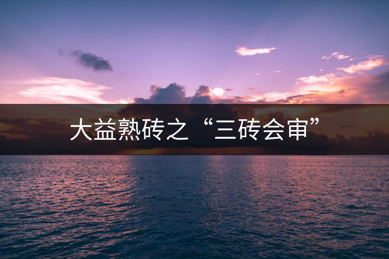 大益熟磚之“三磚會(huì)審”