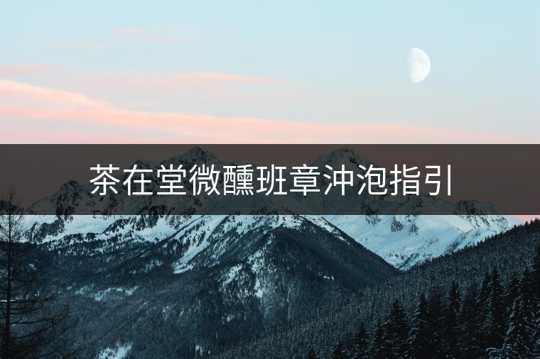 茶在堂微醺班章沖泡指引 茶在堂微醺班章沖泡指引
