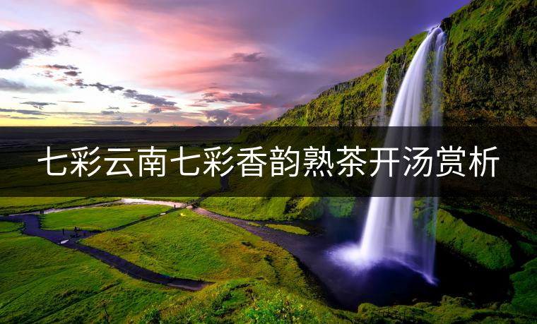 七彩云南七彩香韻熟茶開湯賞析 七彩云南七彩香韻熟茶開湯賞析