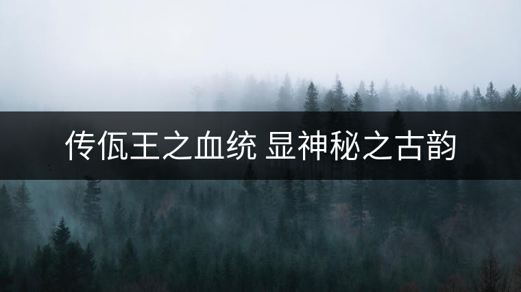 傳佤王之血統(tǒng) 顯神秘之古韻 傳佤王之血統(tǒng) 顯神秘之古韻