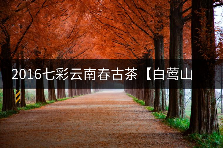 2016七彩云南春古茶【白鶯山】透過茶湯“探訪”佛茶圣地 2016七彩云南春古茶【白鶯山】透過茶湯“探訪”佛茶圣地