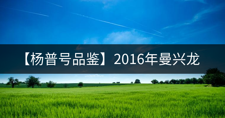 【楊普號品鑒】2016年曼興龍 【楊普號品鑒】2016年曼興龍