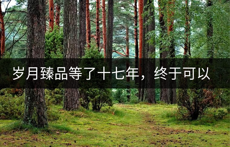 歲月臻品等了十七年，終于可以品味歲月