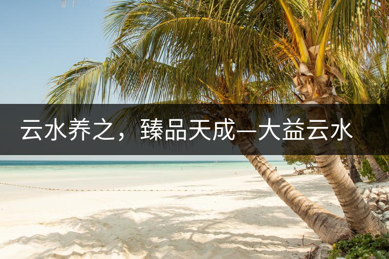 云水養(yǎng)之，臻品天成—大益云水臻開湯