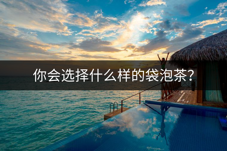 你會選擇什么樣的袋泡茶？