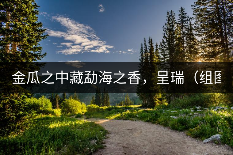 金瓜之中藏勐海之香，呈瑞（組圖）