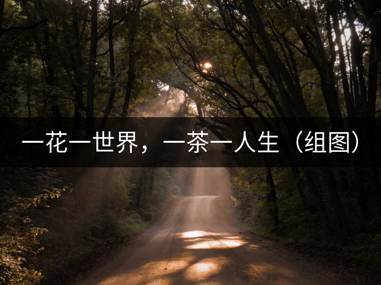 一花一世界，一茶一人生（組圖）