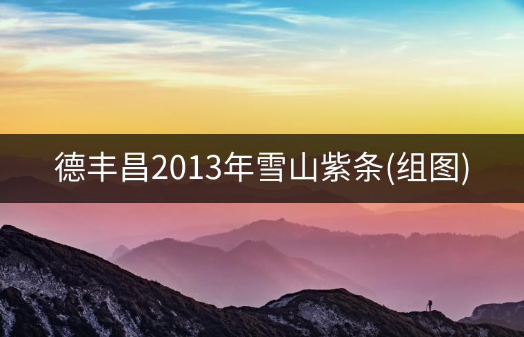 德豐昌2013年雪山紫條(組圖)