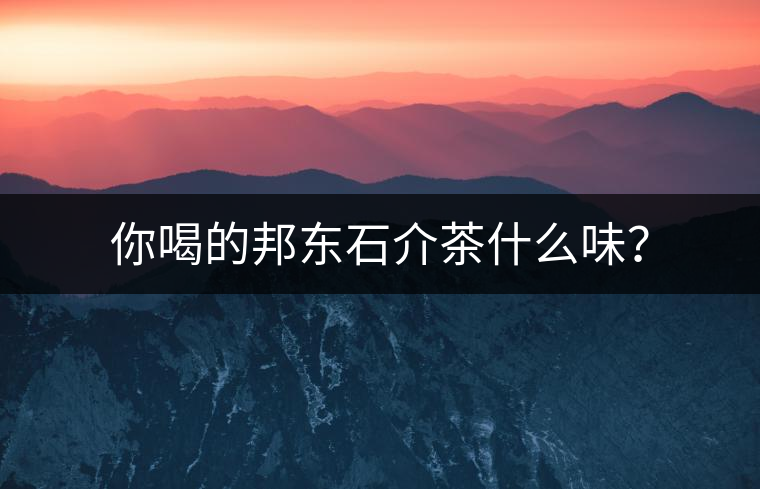 你喝的邦東石介茶什么味？