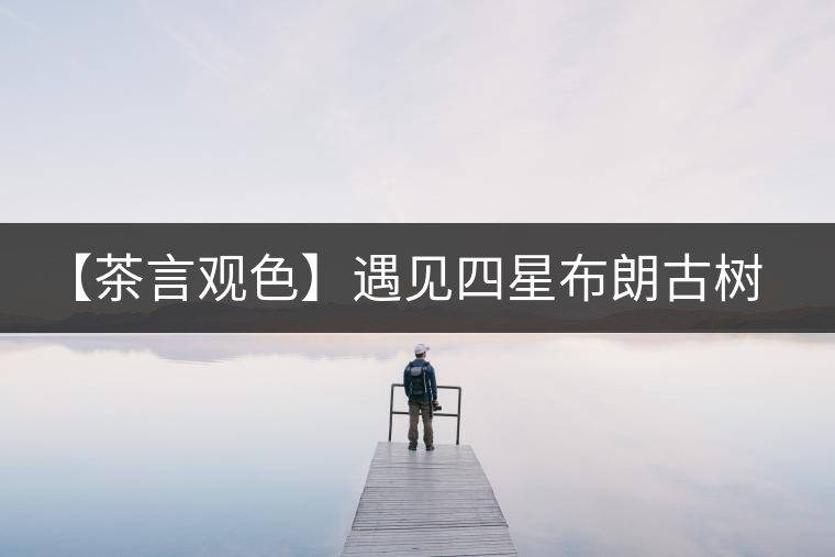 【茶言觀色】遇見(jiàn)四星布朗古樹(shù)之美 【茶言觀色】遇見(jiàn)四星布朗古樹(shù)之美