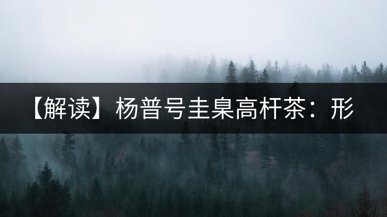 【解讀】楊普號(hào)圭臬高桿茶：形高、氣足、韻遠(yuǎn)的一款茶