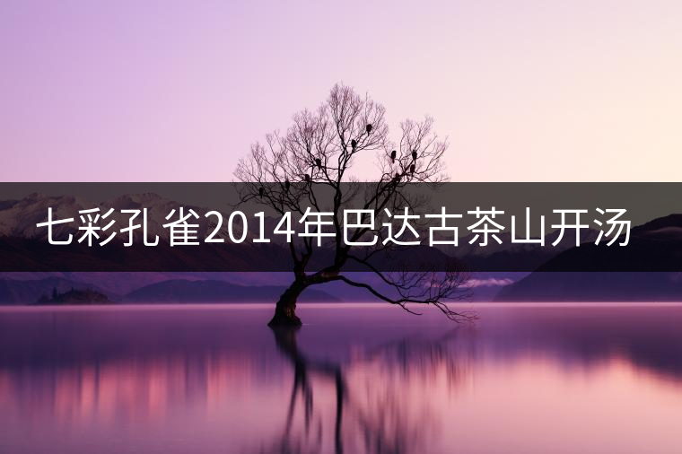 七彩孔雀2014年巴達(dá)古茶山開湯品鑒 七彩孔雀2014年巴達(dá)古茶山開湯品鑒