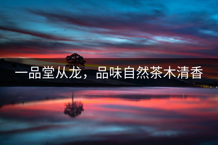 一品堂從龍，品味自然茶木清香