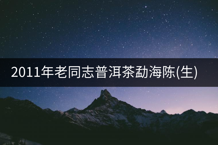 2011年老同志普洱茶勐海陳(生)茶餅品評