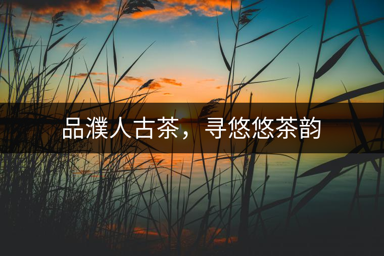 品濮人古茶，尋悠悠茶韻