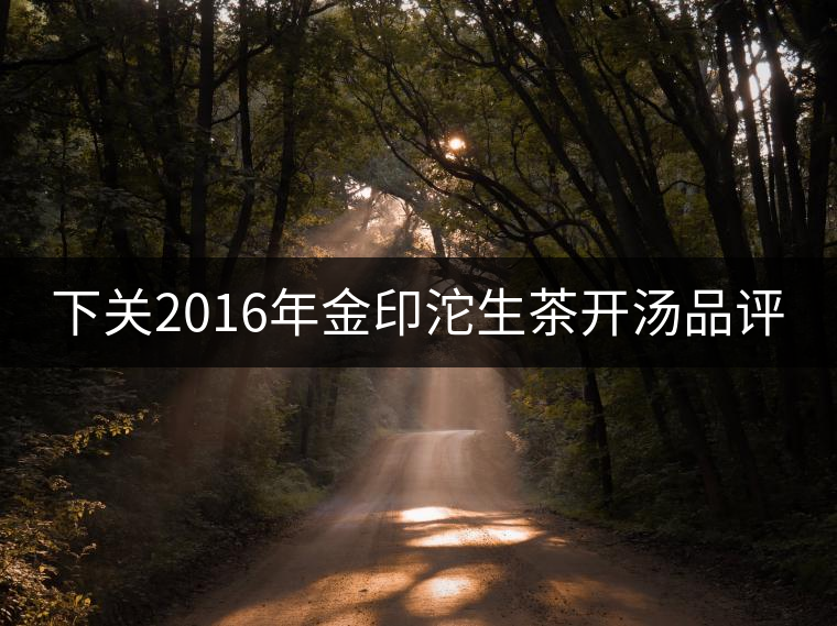 下關(guān)2016年金印沱生茶開湯品評(píng) 下關(guān)2016年金印沱生茶開湯品評(píng)