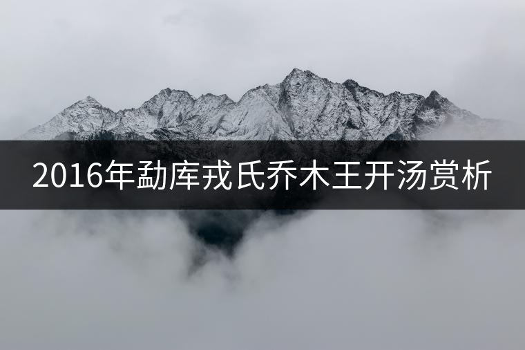 2016年勐庫(kù)戎氏喬木王開湯賞析 2016年勐庫(kù)戎氏喬木王開湯賞析